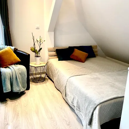 Urocze Poddasze W Domku Jednorodzinnym Na Kaszubach アパート